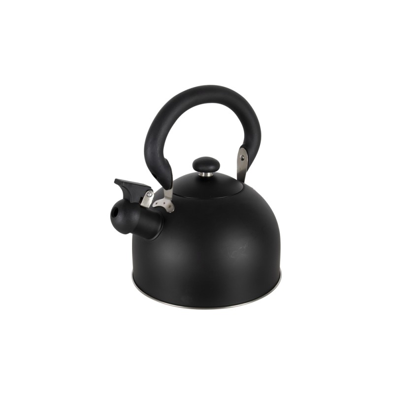 Théière PETTYGROVE 1,2 L - Design compact et élégant en inox Théière PETTYGROVE 1,2 L - Design compact et élégant en inox