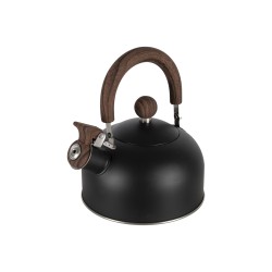 Théière PETTYGROVE 1,2 L - Design compact et élégant en inox